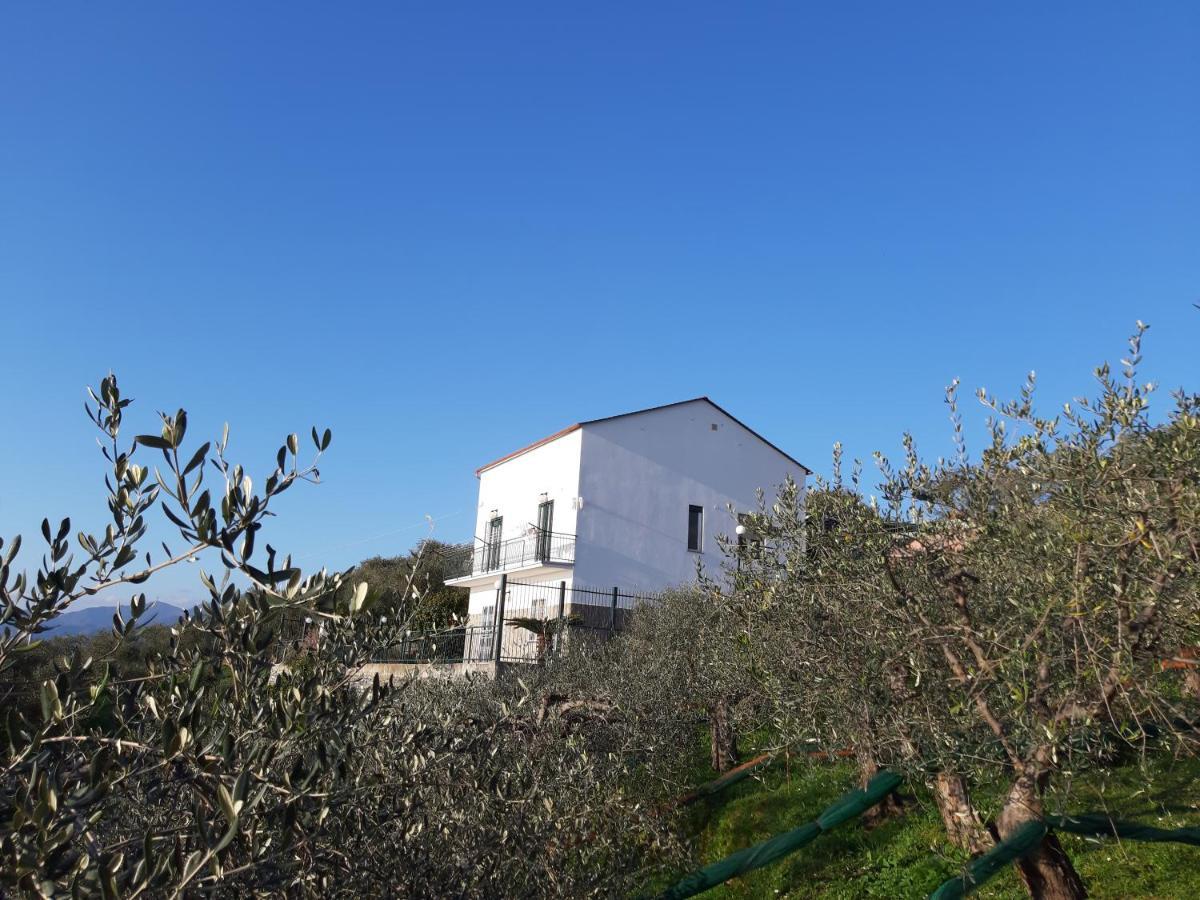 Sarina House Ocean View Villa Лаваня Екстериор снимка